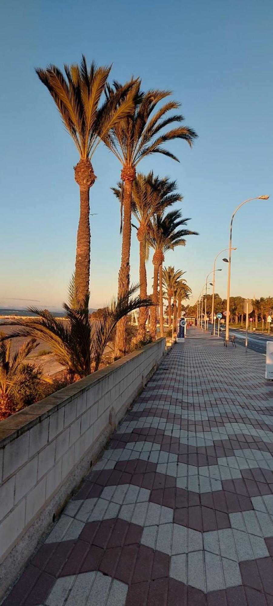 Apartamento La Casita Del Tio Santa Pola Exterior foto
